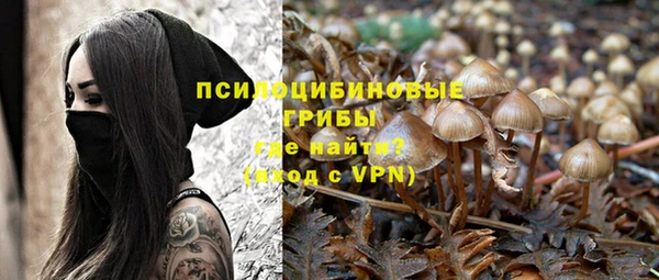 крисы Беломорск